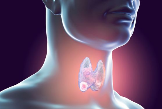 Dr. Vijay Bansal - Head, Neck & Oral Cancer Surgeon in Mohali